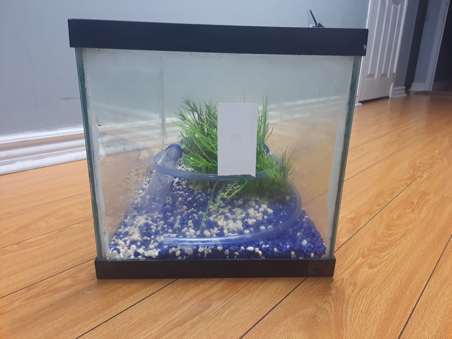 Fish tank + manual pump + ornaments - photo 2