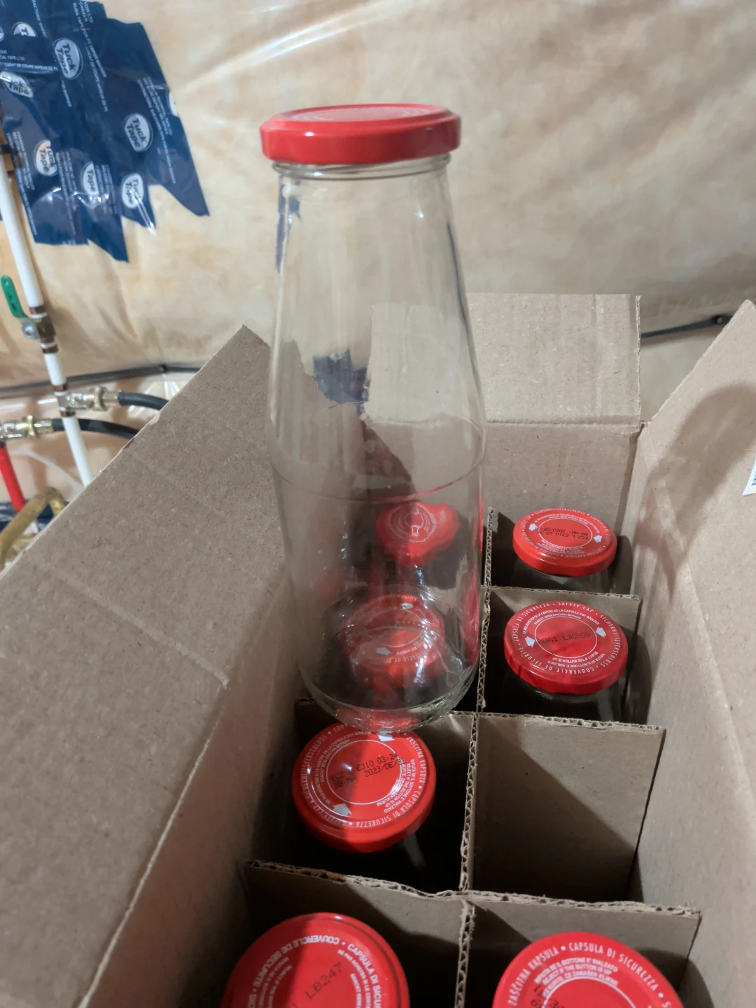 Glass Bottles with Red Lids - Pack of 8