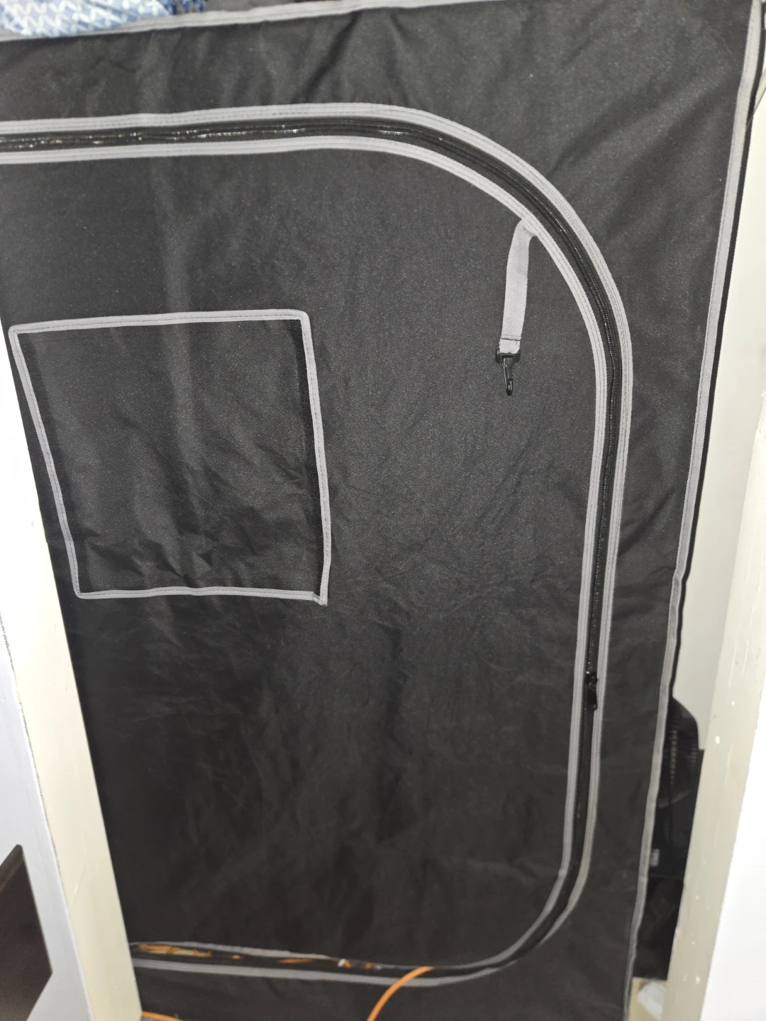 Indoor grow tent with 2 spiderfarmer lights