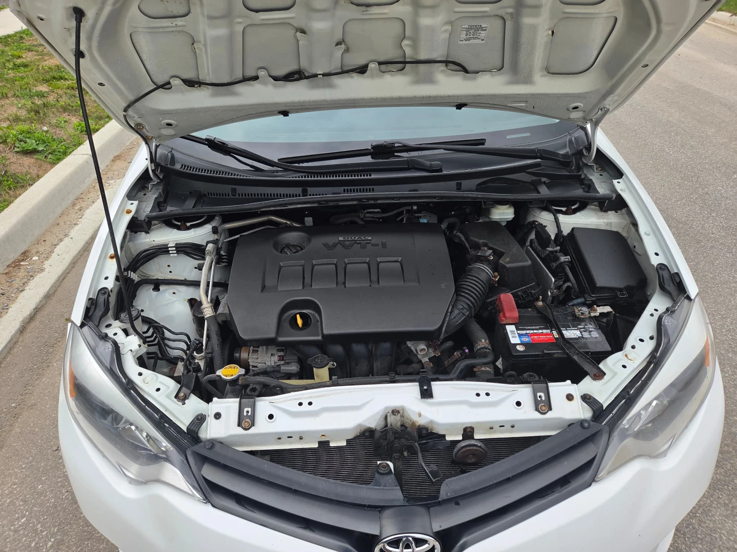 Toyota corolla White - photo 5