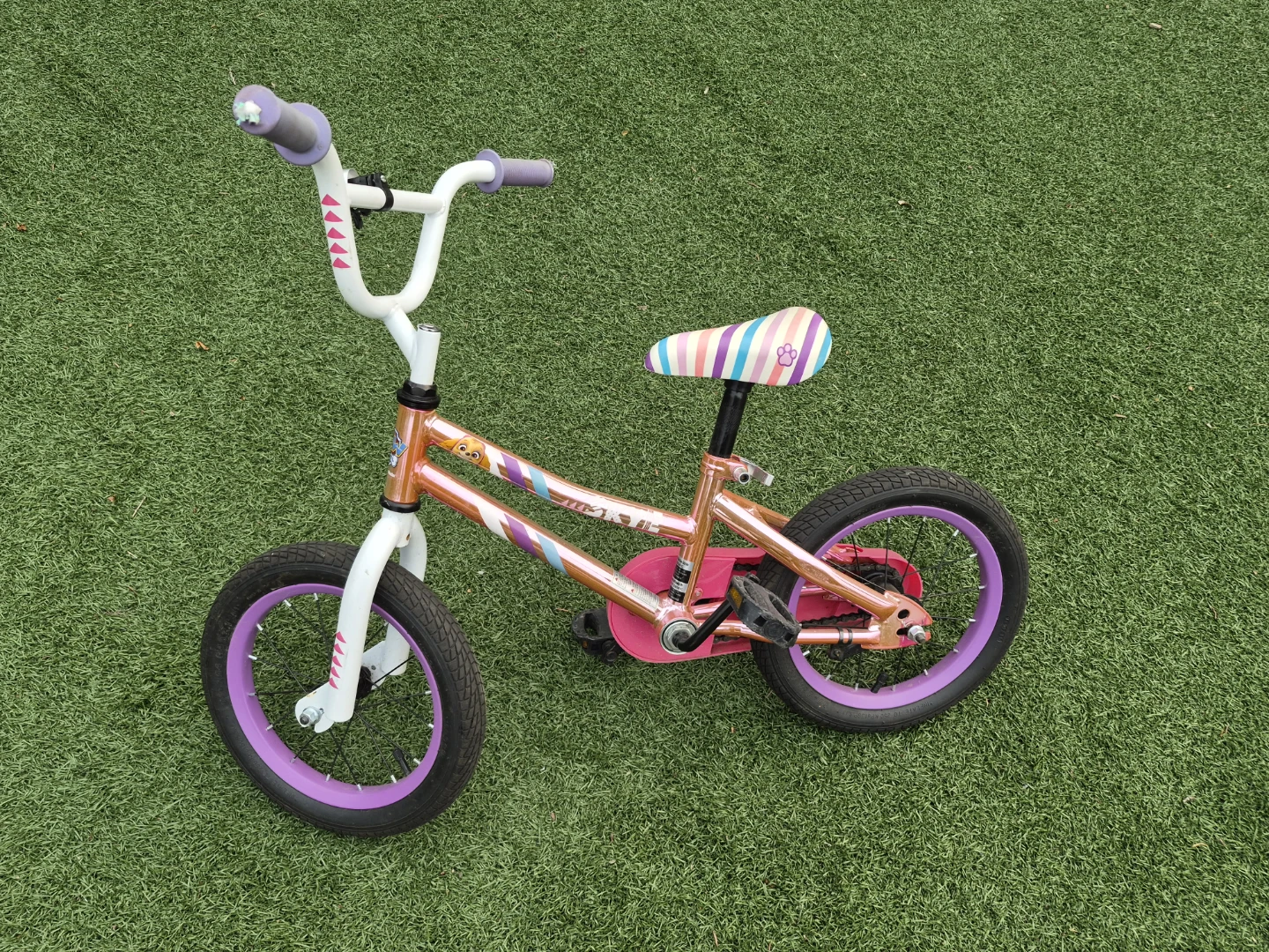 Kids Bike with Paw Patrol Theme