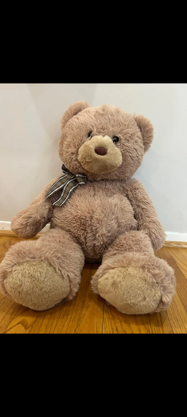 Brown Teddy Bear with Plaid Ribbon
