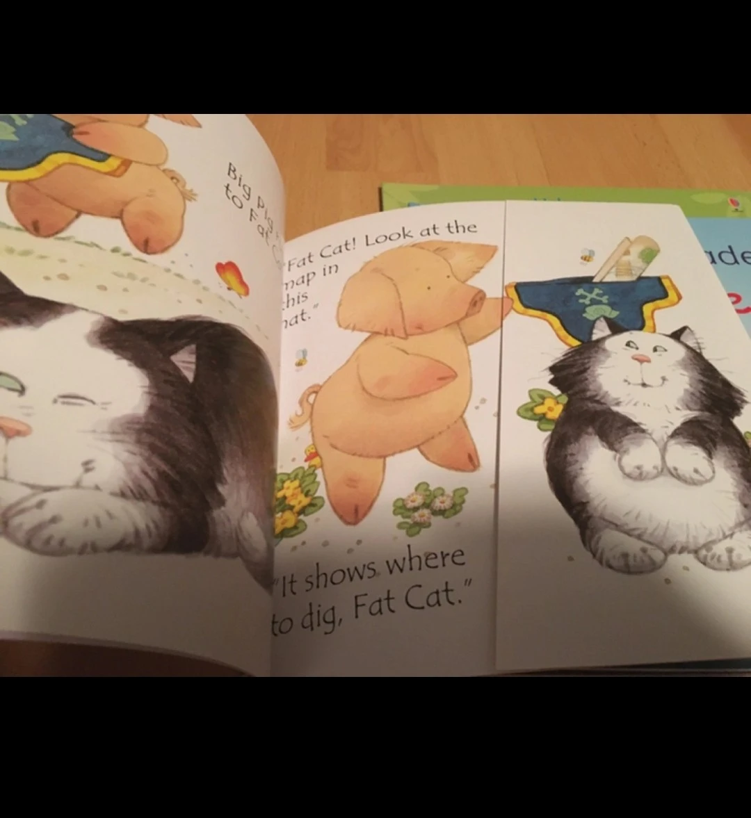 Usborne Phonics Readers Book Collection - photo 2