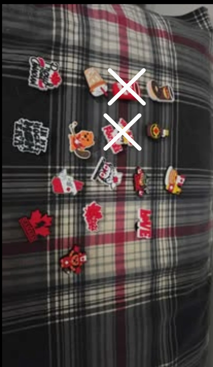 Assorted Canadian Themed Charms