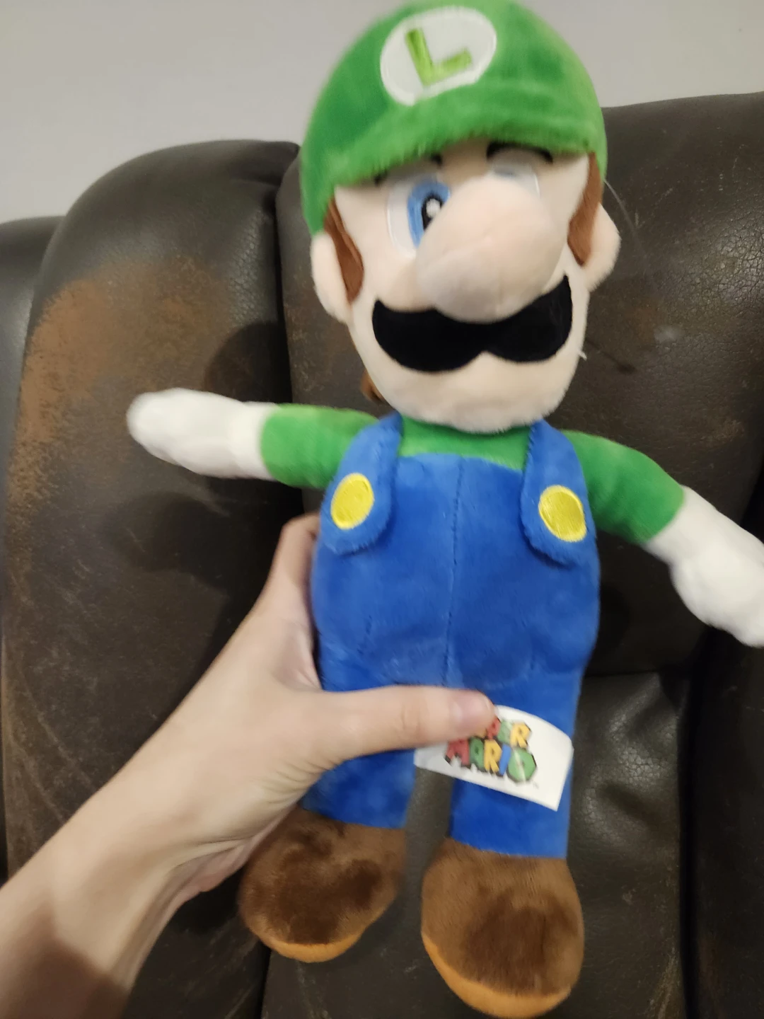 $20 luigi plush 9"