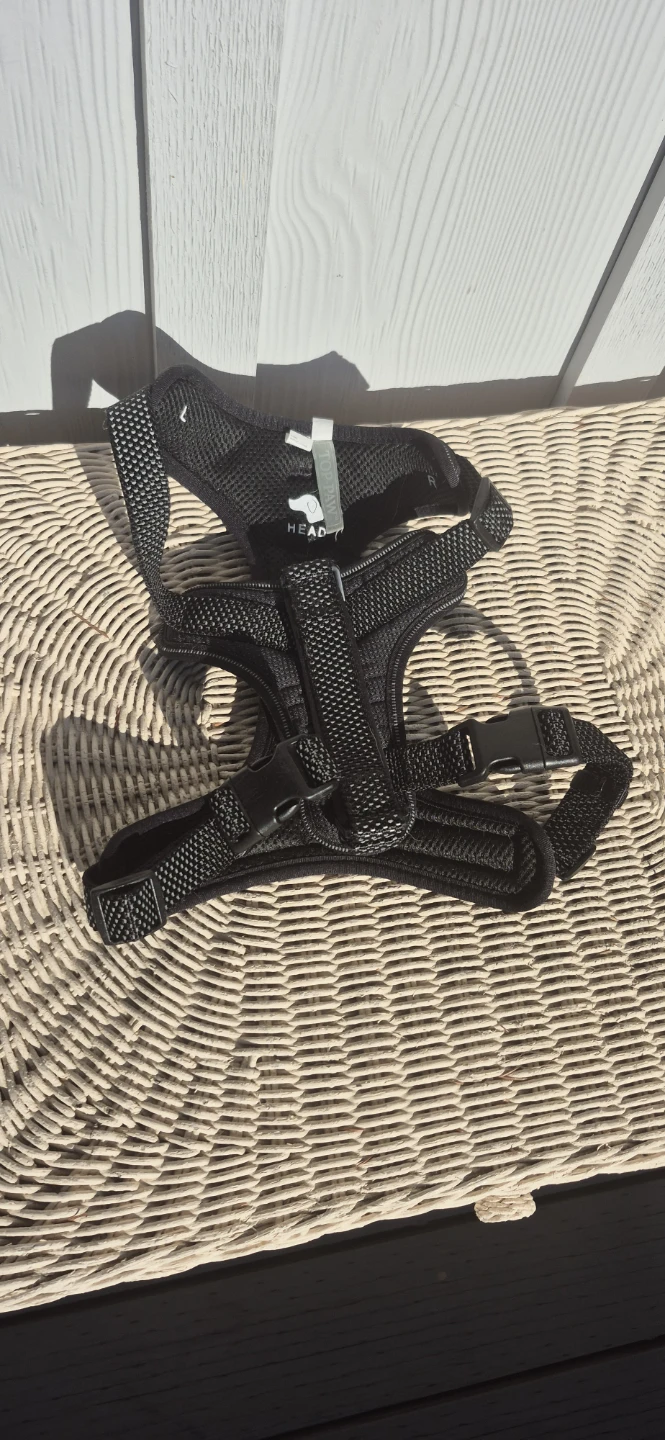 Large Top Paw Dog Harness - photo 2