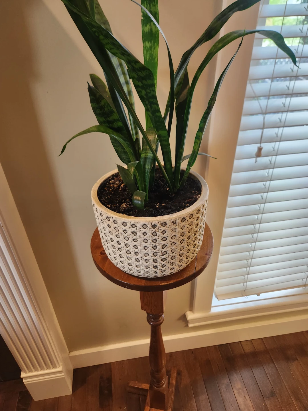 Antique solid wood Pedestal Plant OR sculpture  Stand - photo 5