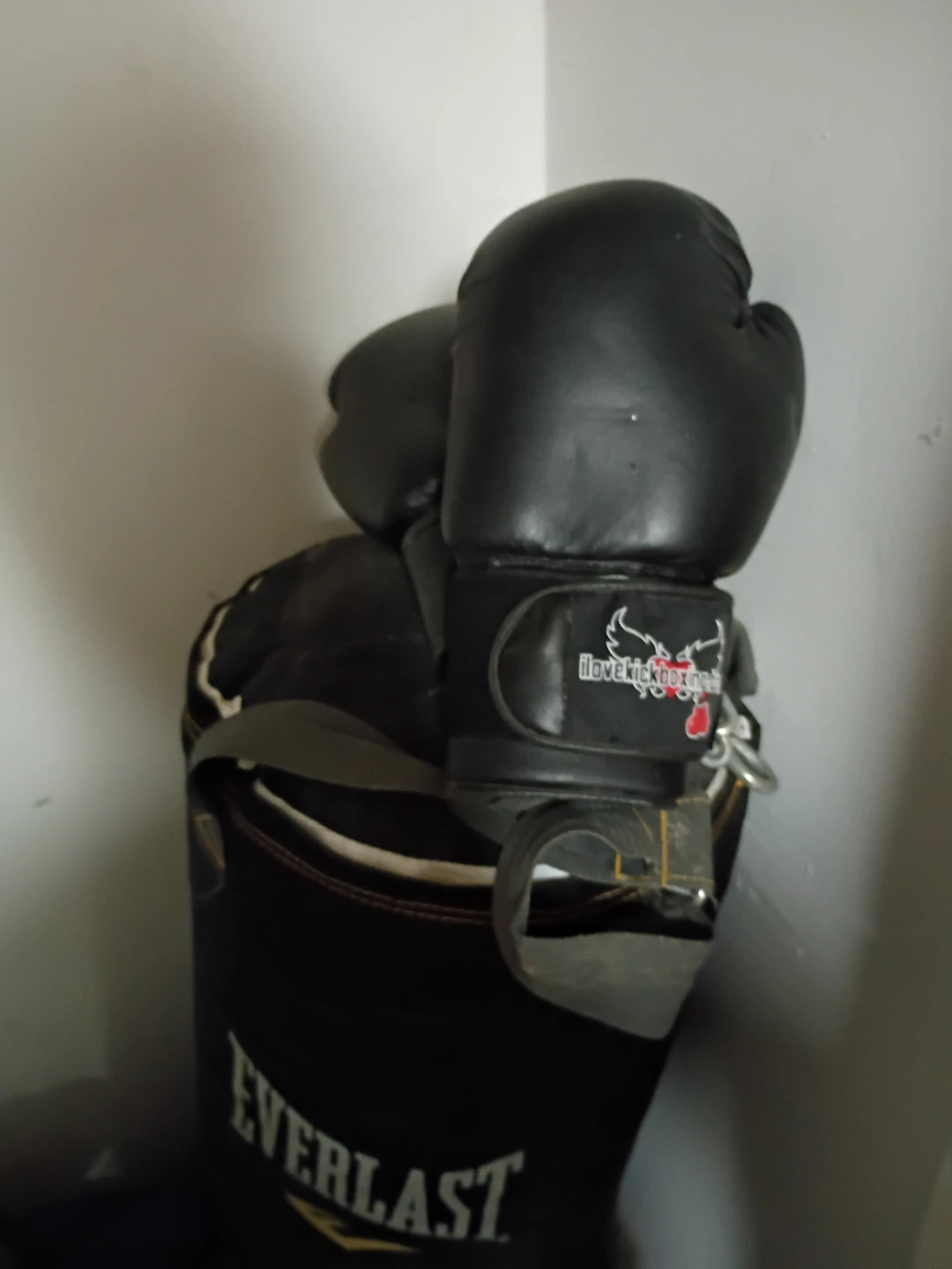 Everlast Punching Bag with Gloves - photo 2