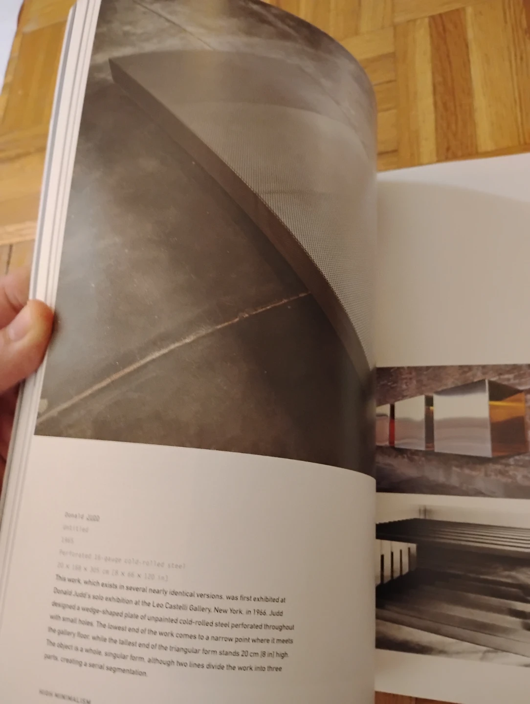 Minimalism Art Book by Phaidon - photo 4