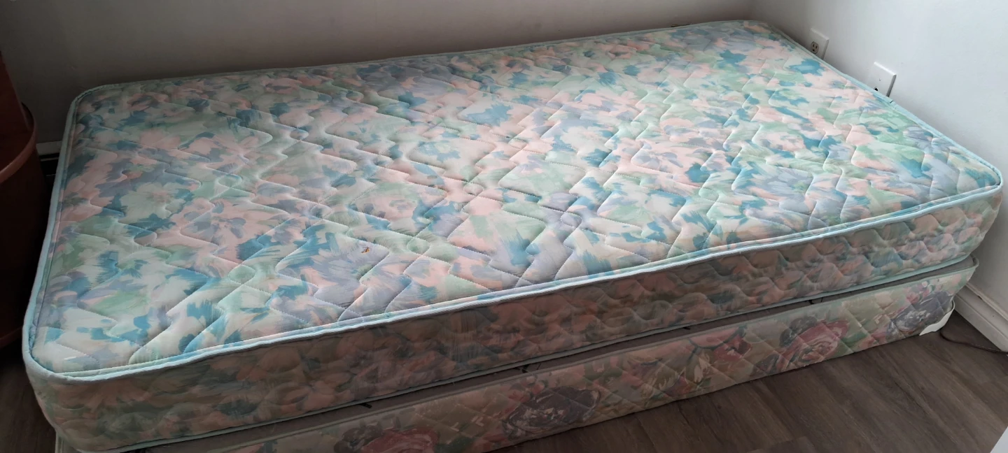 Twin Bed Mattress with Box Spring