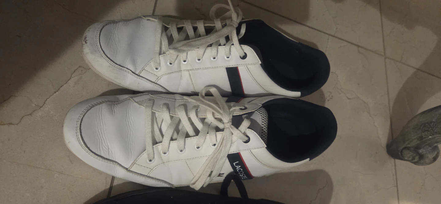 Lacoste Men's Sneakers