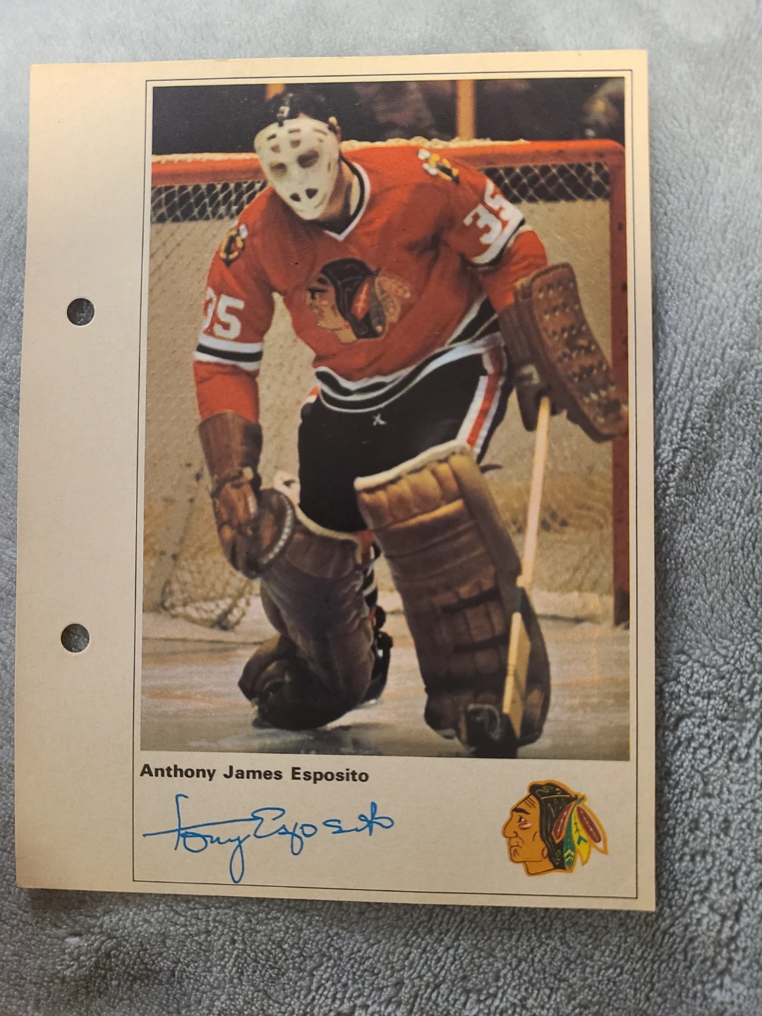 Tony Esposito Chicago Blackhawks Hockey Card