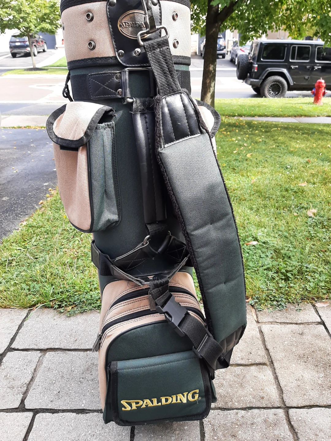 Spalding Golf Bag - photo 2