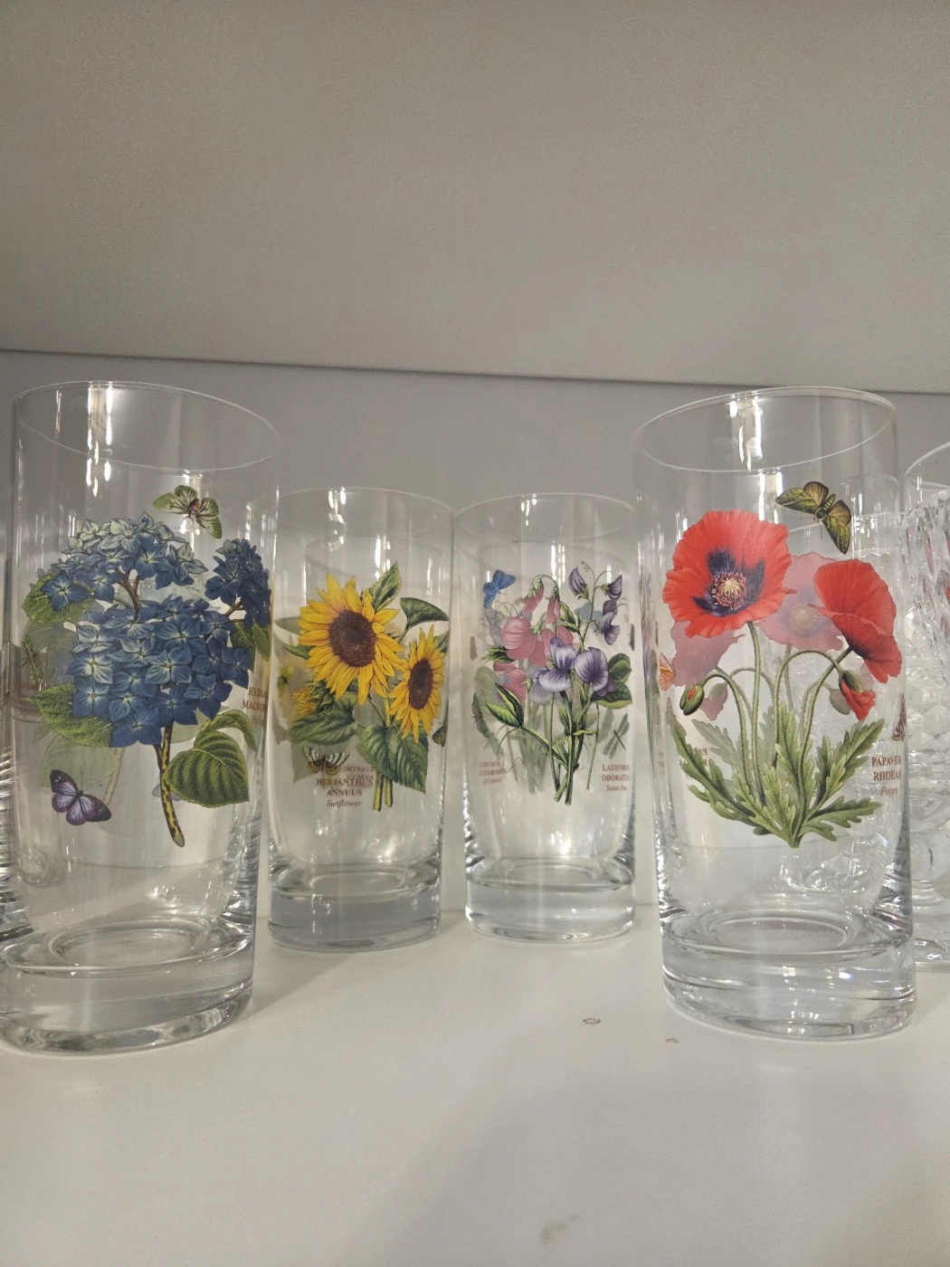 Portmeirion Botanic Garden Highball Glasses Set of 4 - photo 3