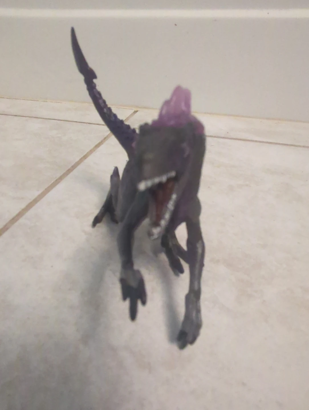 Shadow velociraptor - photo 4