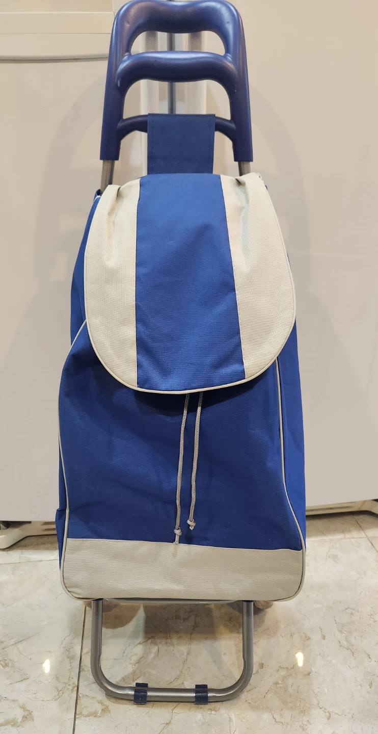 Blue and Grey Rolling Shopping Cart