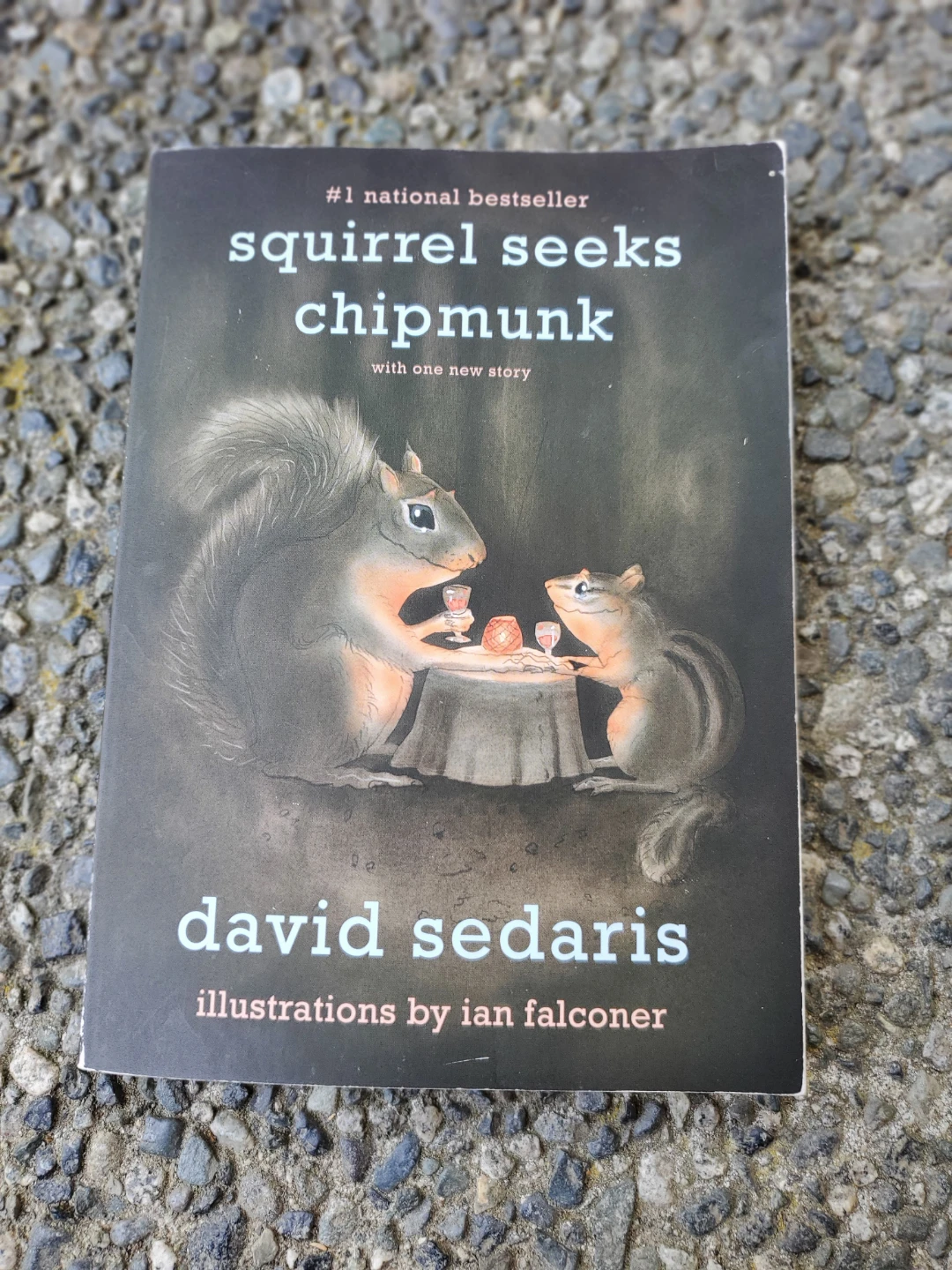 Book Lot - photo 5