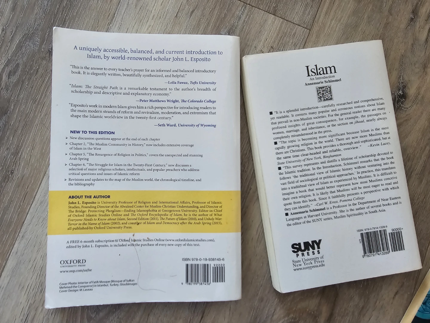 Islam: The Straight Path & Islam: An Introduction Books - photo 2