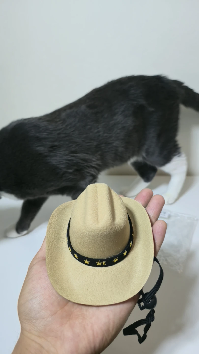 Pet Cowboy Hat - photo 2