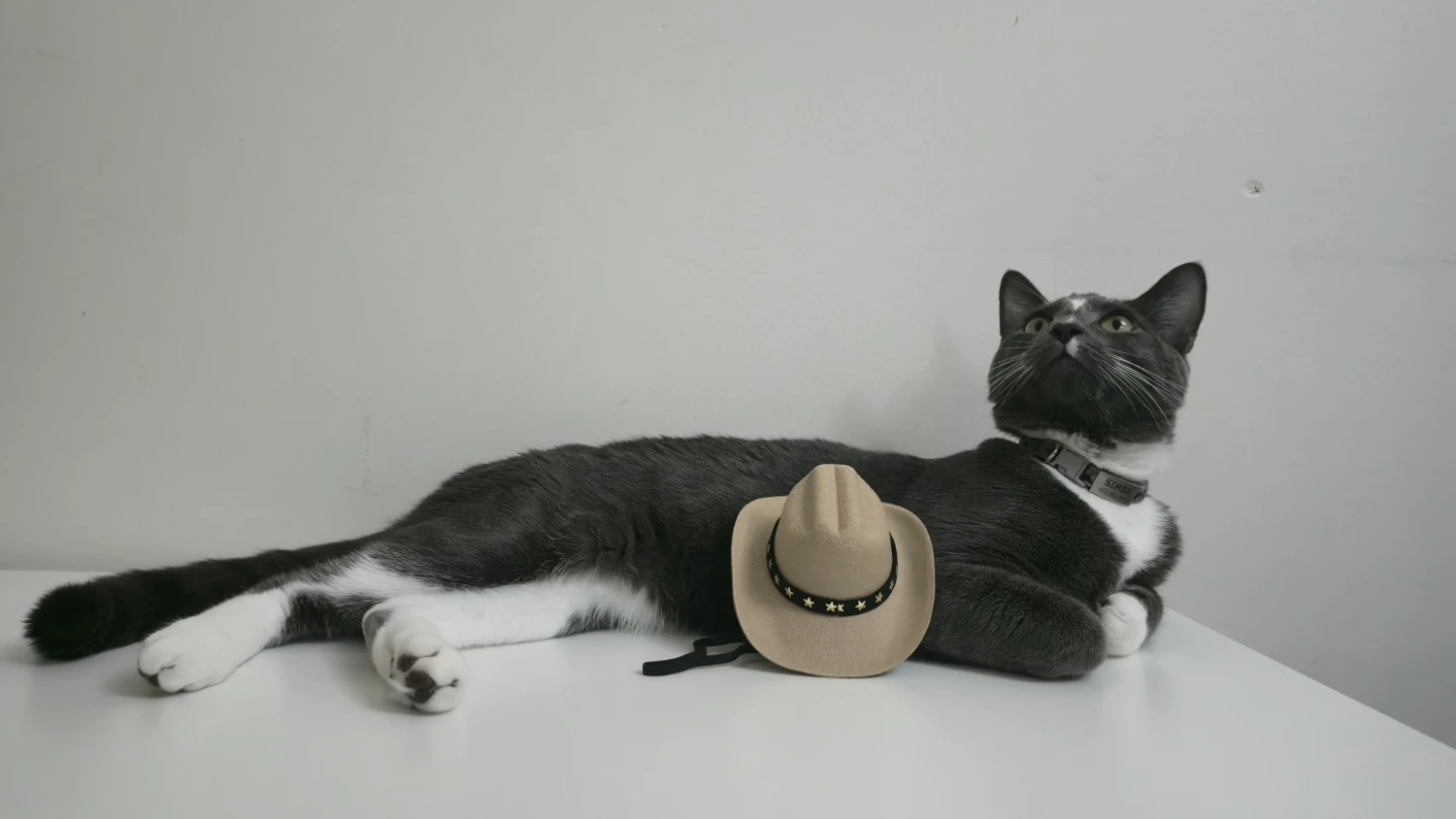 Pet Cowboy Hat - photo 3