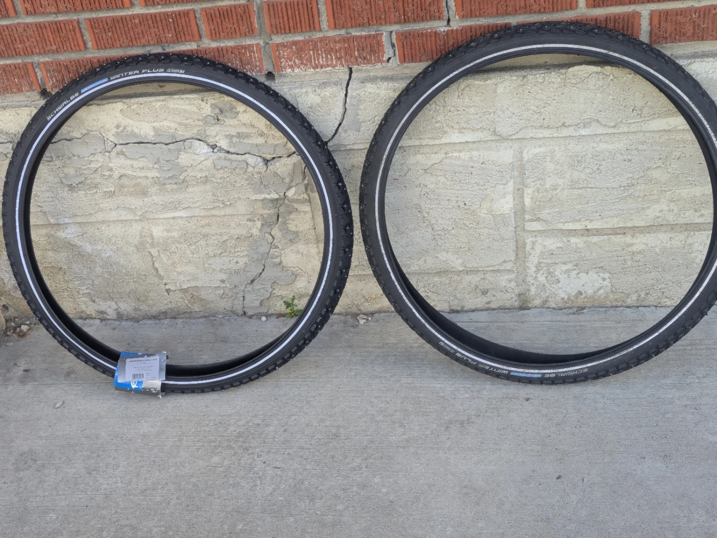 2 Schwalbe Marathon Winter Plus Tires 26x1.75