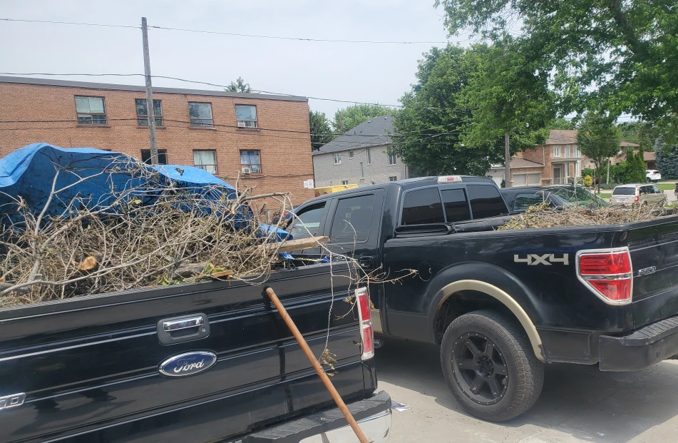 Moving & Junk Removal
