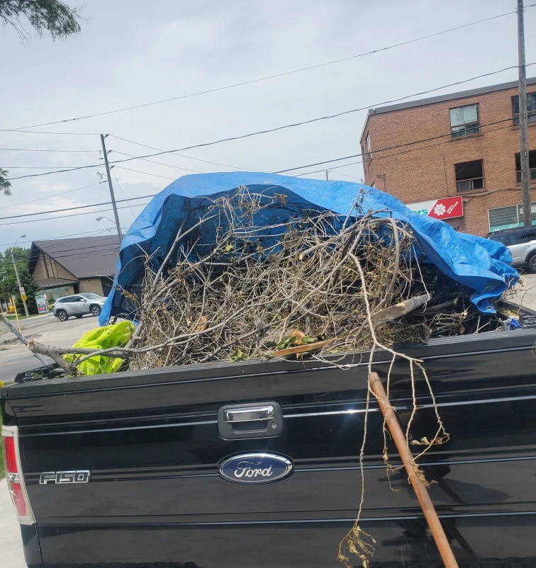 Moving & Junk Removal - photo 2