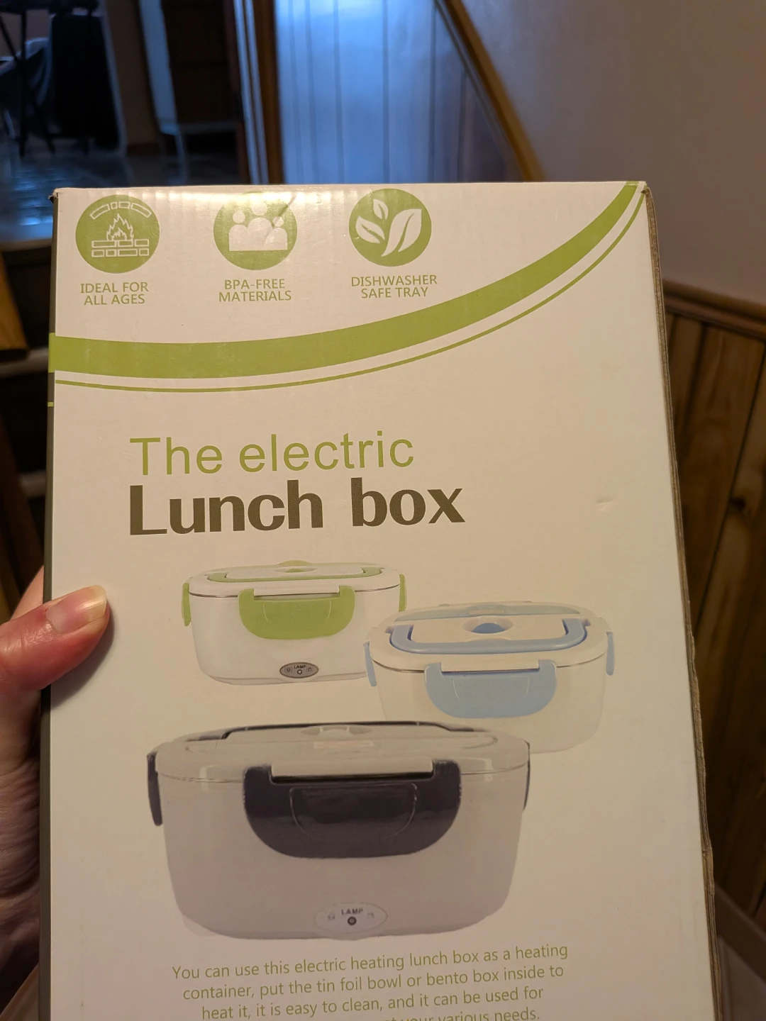 Electric lunch box