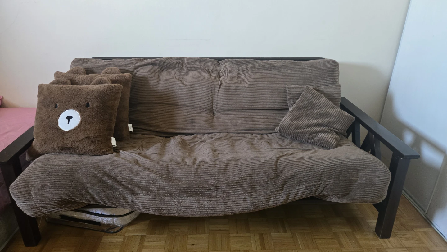 Cozy dual functionality sofa cum bed -140$ OBO