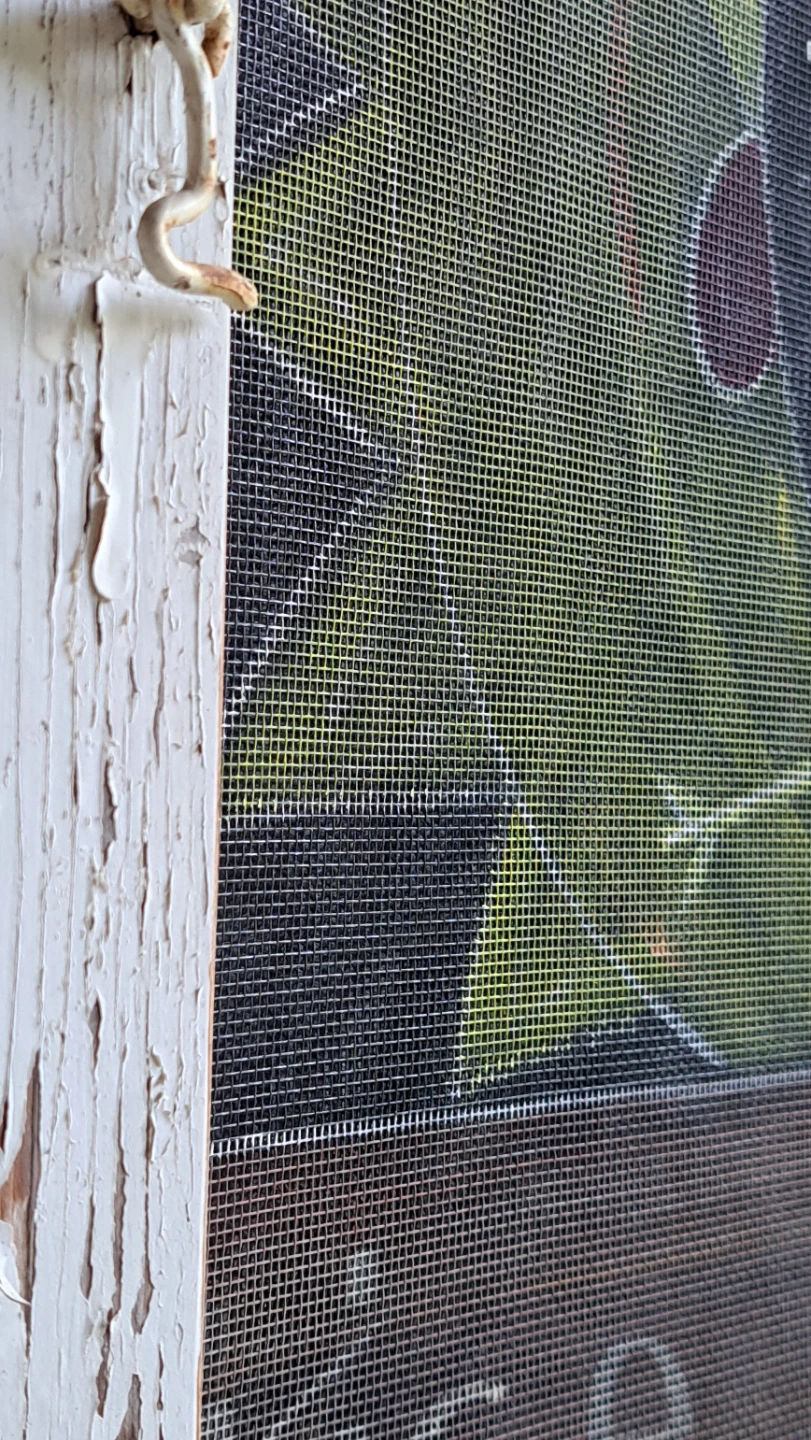 Rise 'n Shine Chicken Screen Art - photo 2