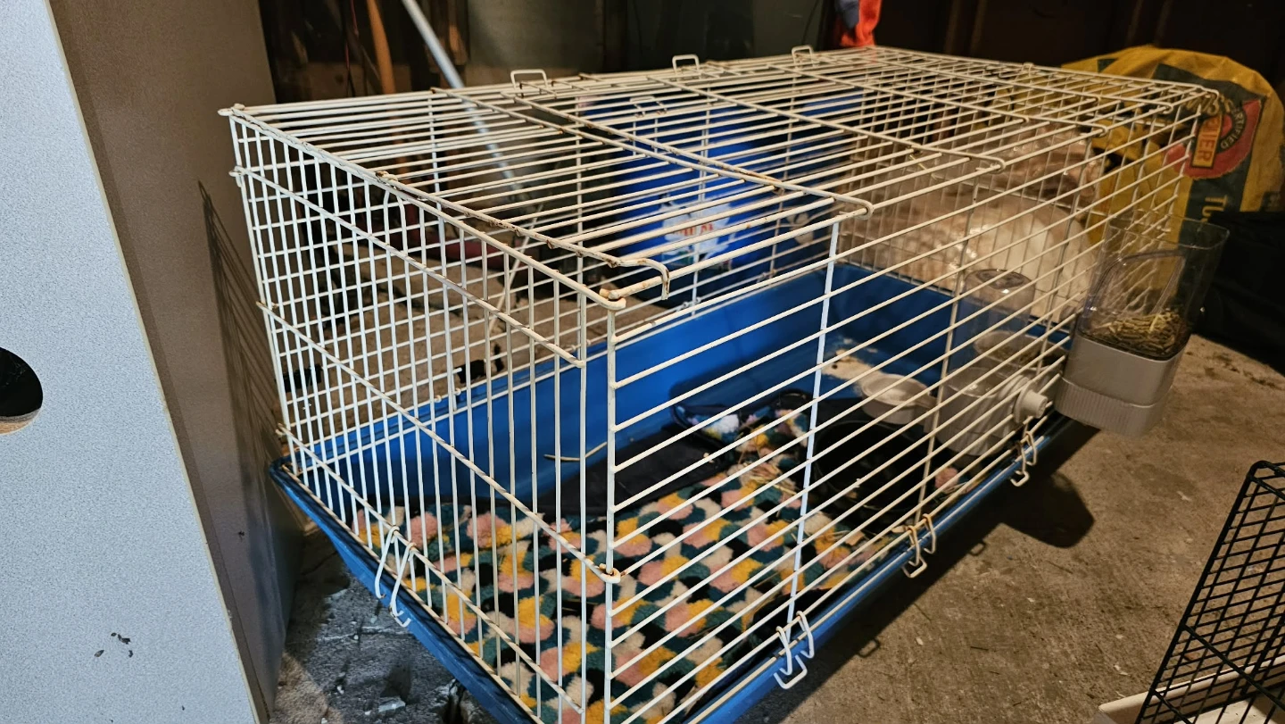 Small Animal Cage with Accessories