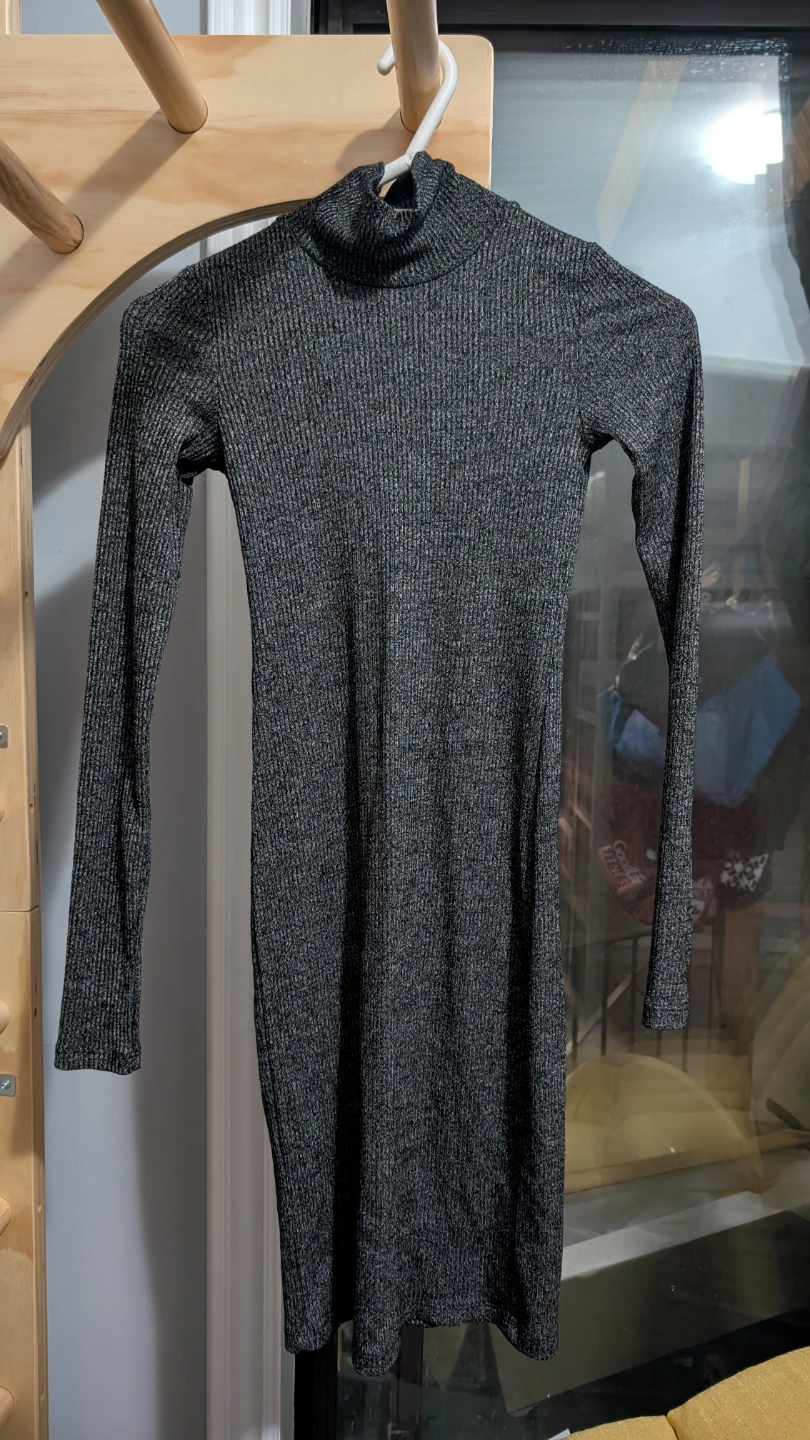Wilfred Free Knit Turtleneck Dress XXS