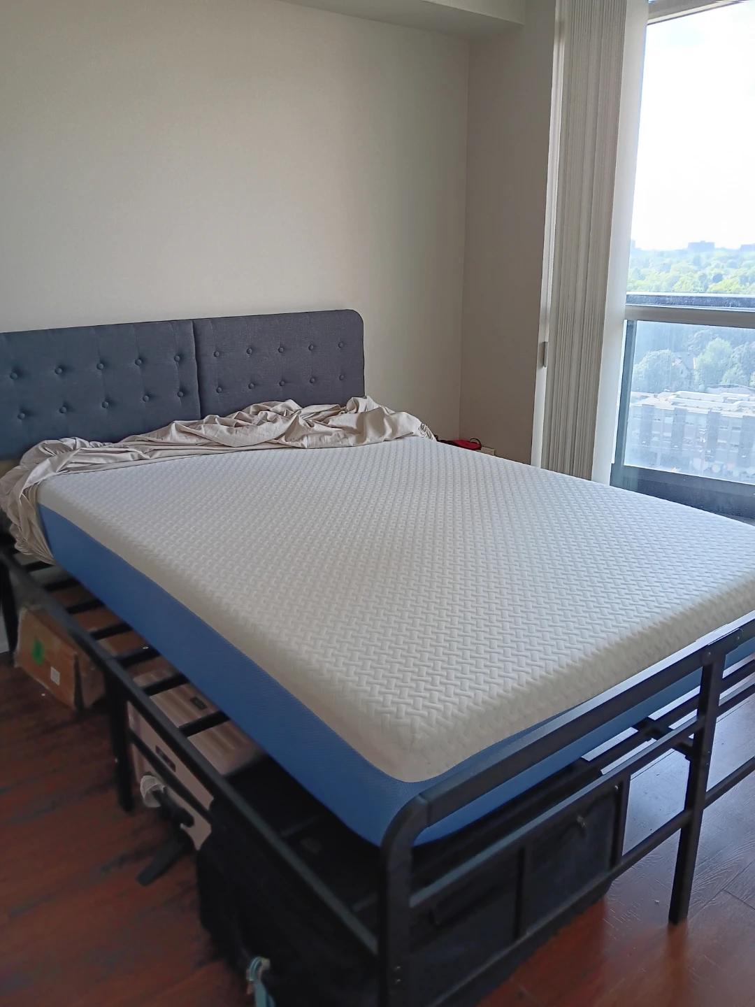 Zinus full mattress-8 inches green tea essential foam mattrrezs