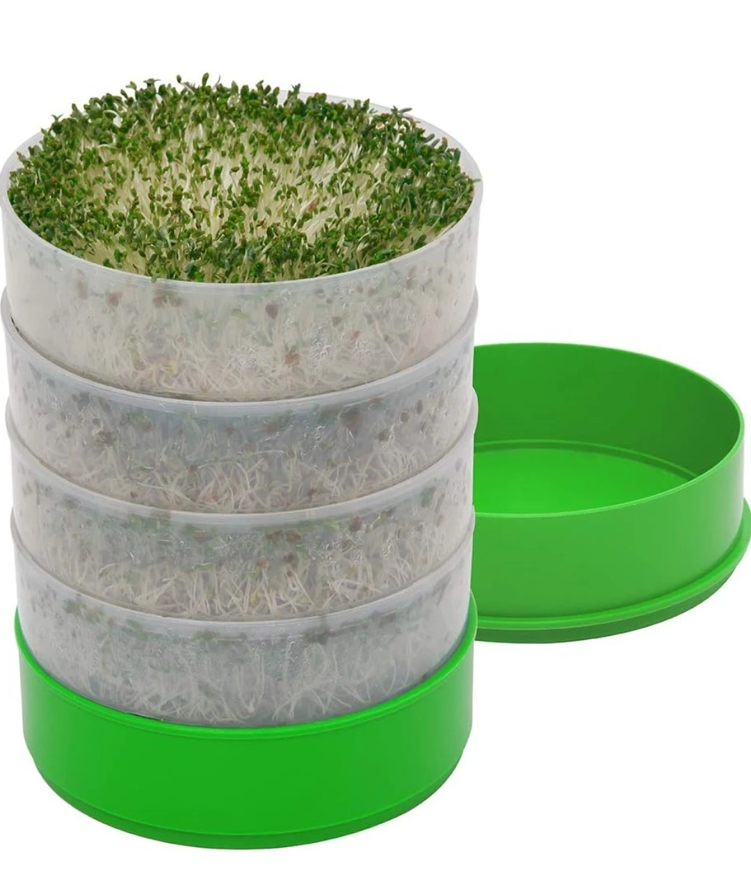 Kitchen Crop Sprouter