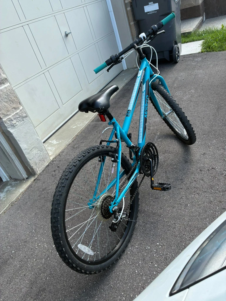 Movelo Algonquin Bicycle