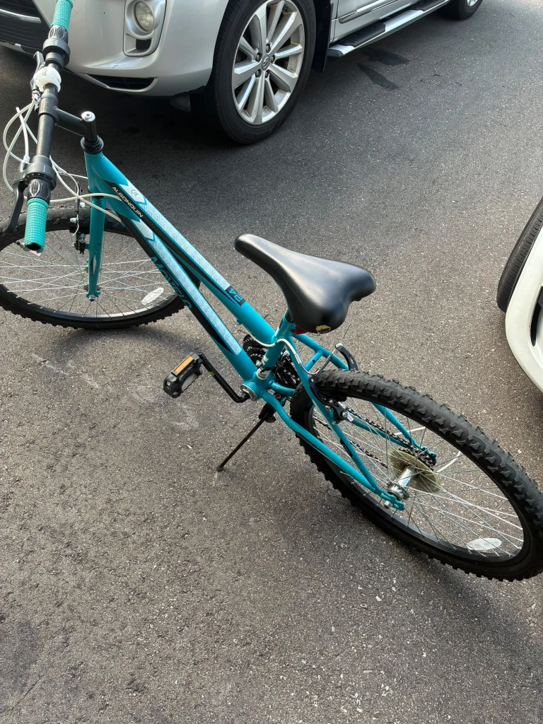 Movelo Algonquin Bicycle - photo 2