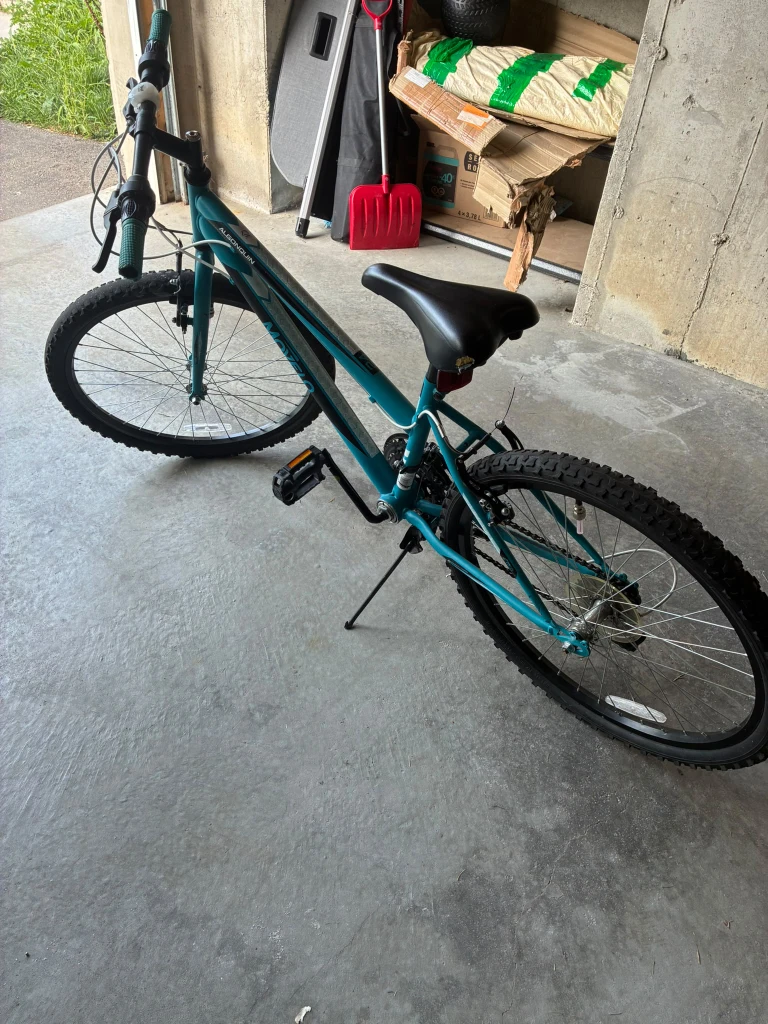 Movelo Algonquin Bicycle - photo 4