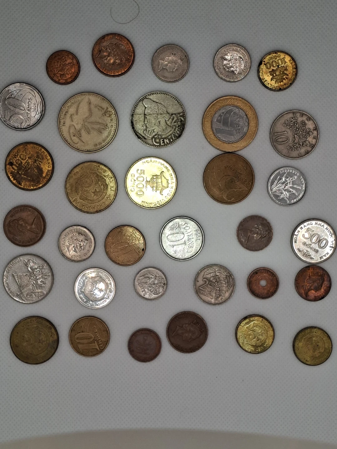 Collection of World Coins
