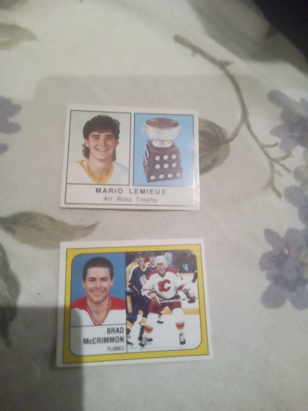 Panini Hockey 88-89 Stickers - Mario Lemieux & Brad McCrimmon