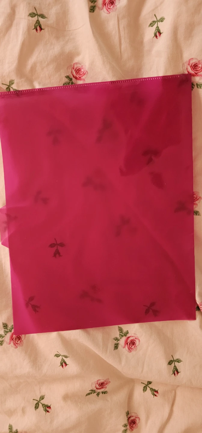 Duotang and Folder (all for $5) - photo 3
