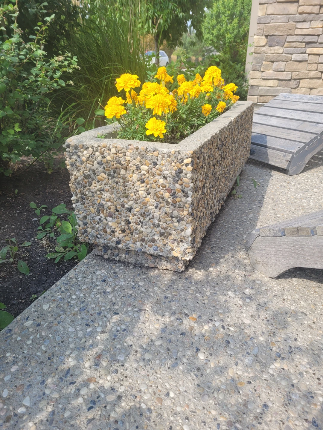 Concrete Rectangular Planter