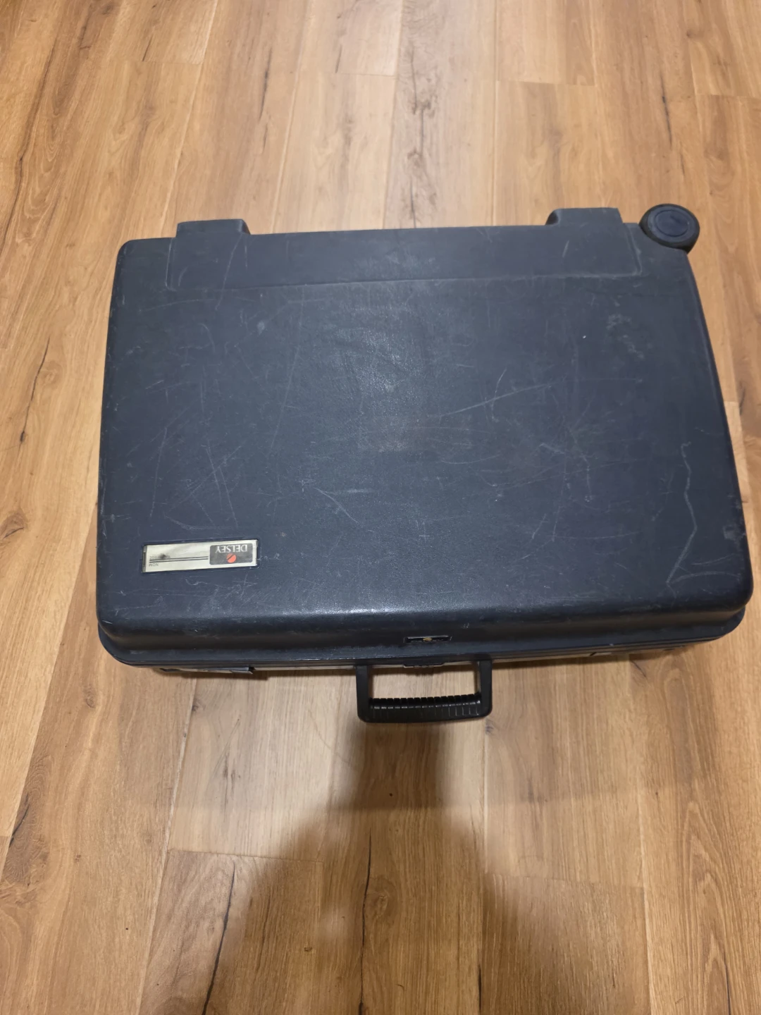 Vintage Delsey Suitcase