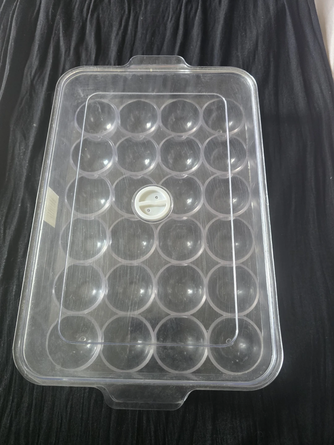 Clear Plastic Egg Container with Lid - photo 2