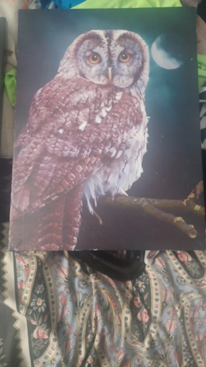 Canvas Wall Art Set (Zen Stones & Owl) - photo 2