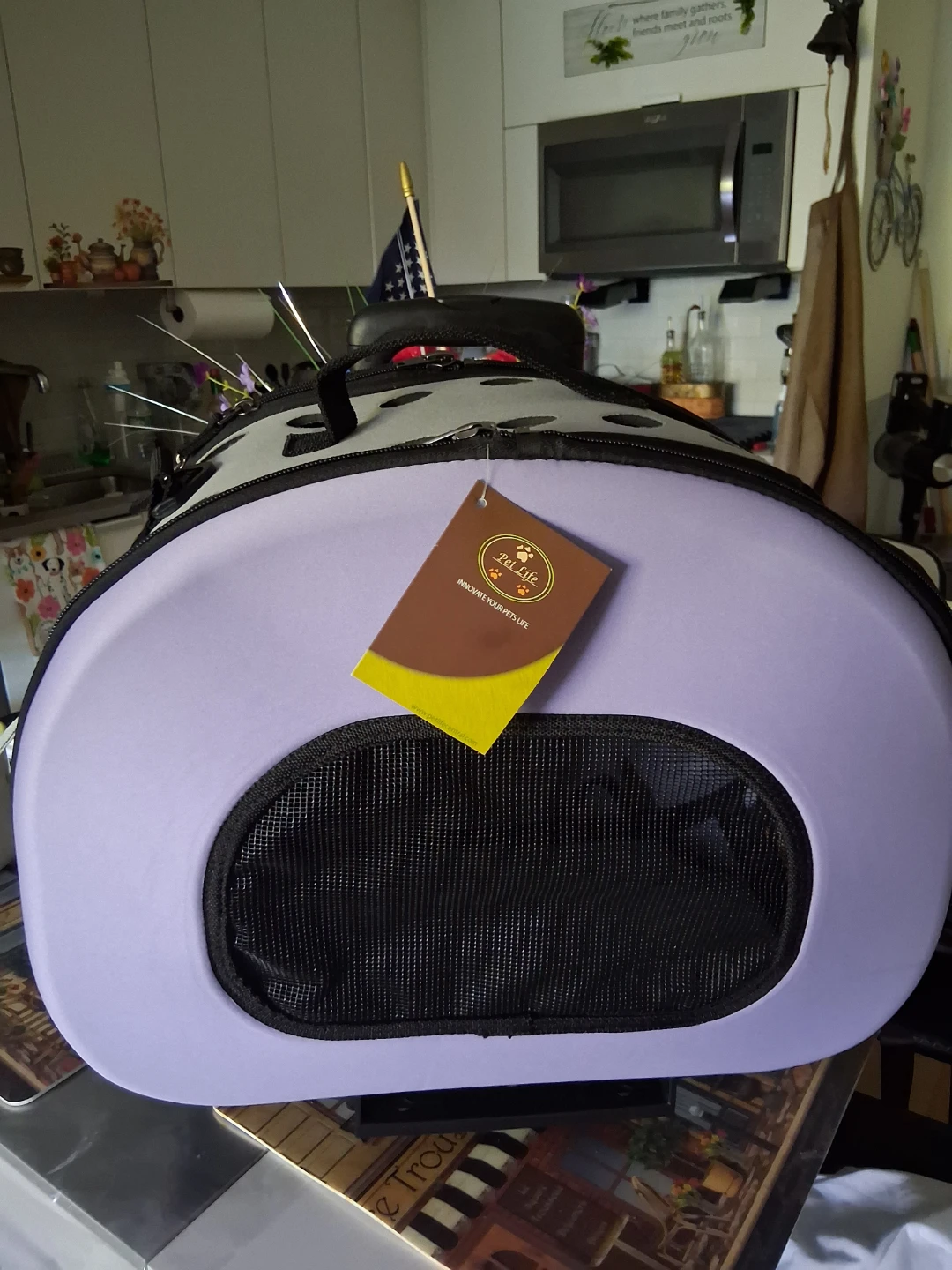 Pet Carrier Bag