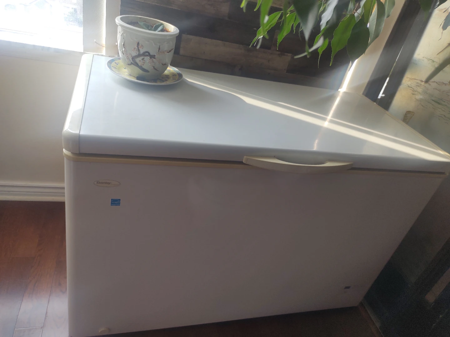 Danby Chest Freezer commercial