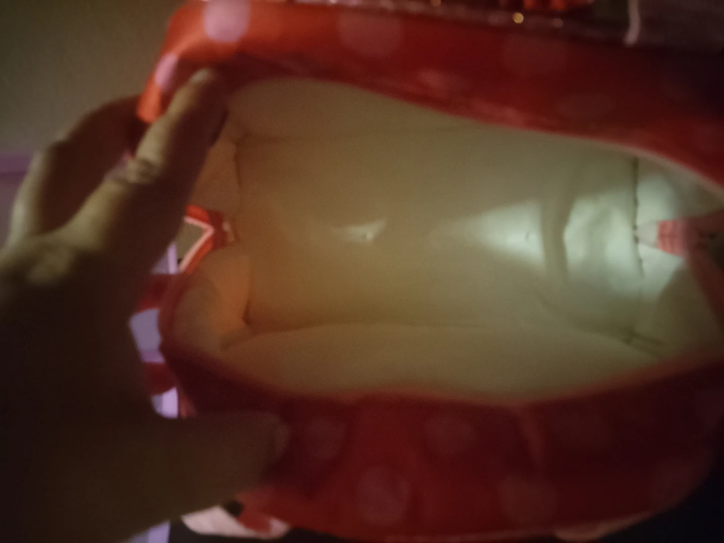 Minnie Mouse Lunch Bag with Container - photo 3