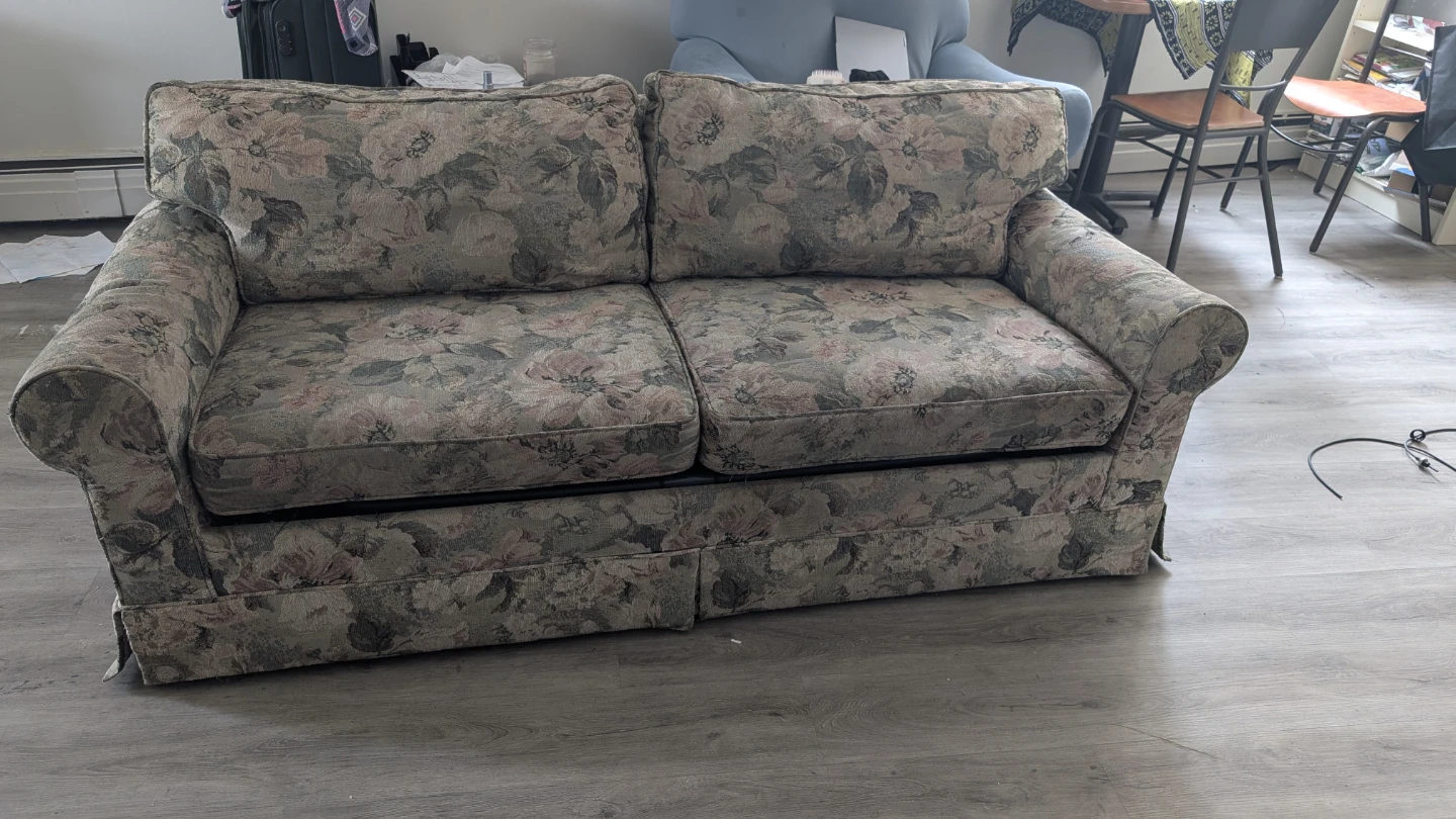 Floral Loveseat Sofa Bed