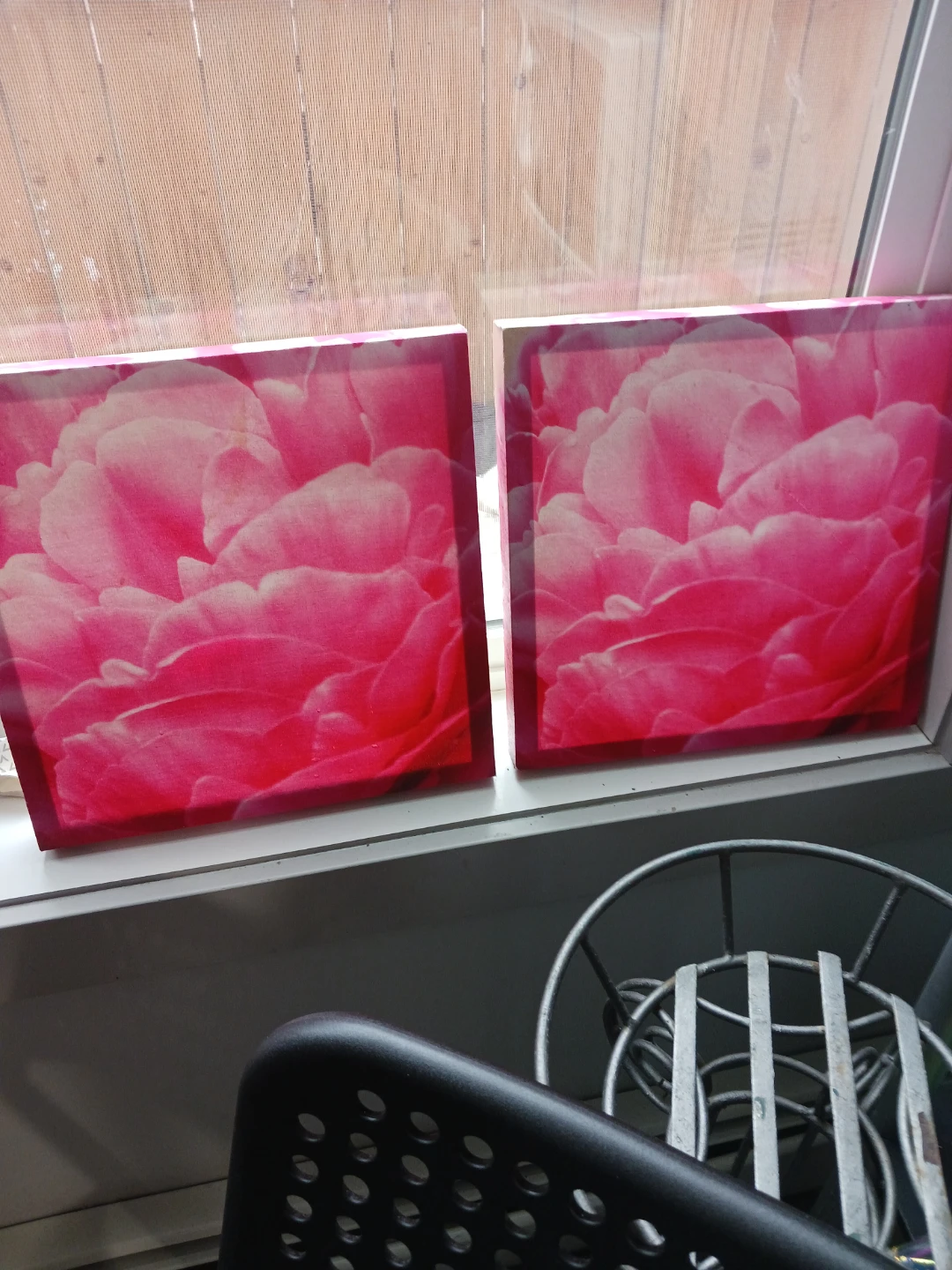 Set of 2 Pink Floral Canvas Art Prints
