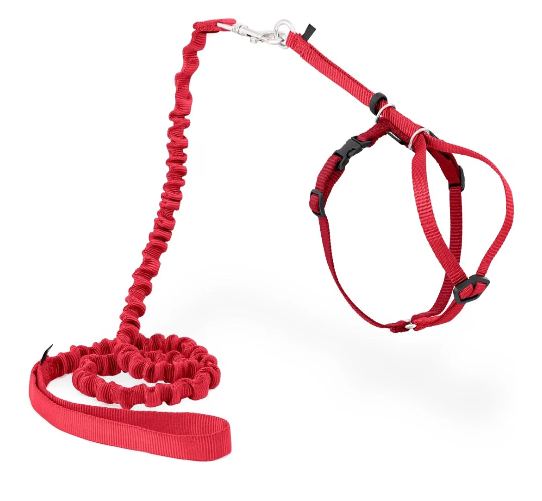 Red Cat Leash and Harness Set